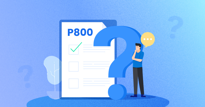 What is P800 and How to Claim a P800 Refund | Debitam